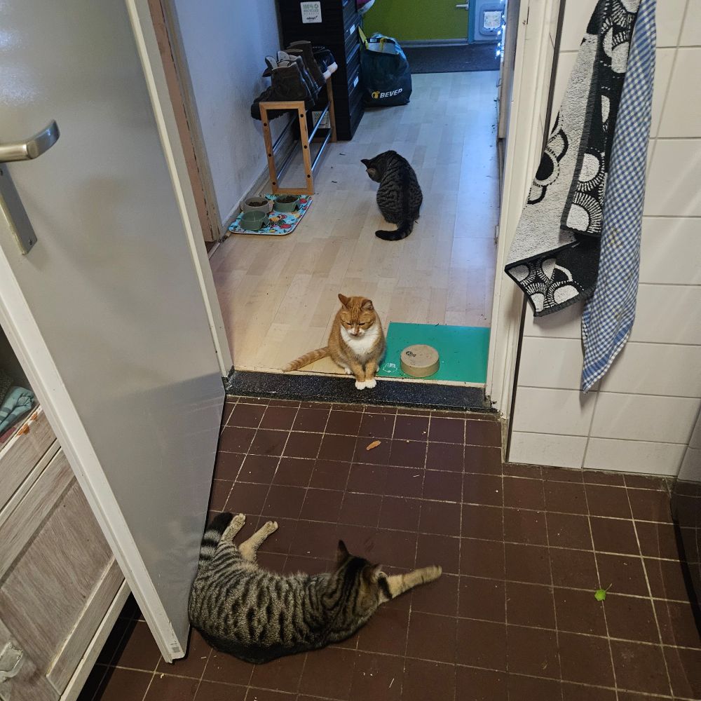 Van al die buitenactiviteiten krijg je best trek. 