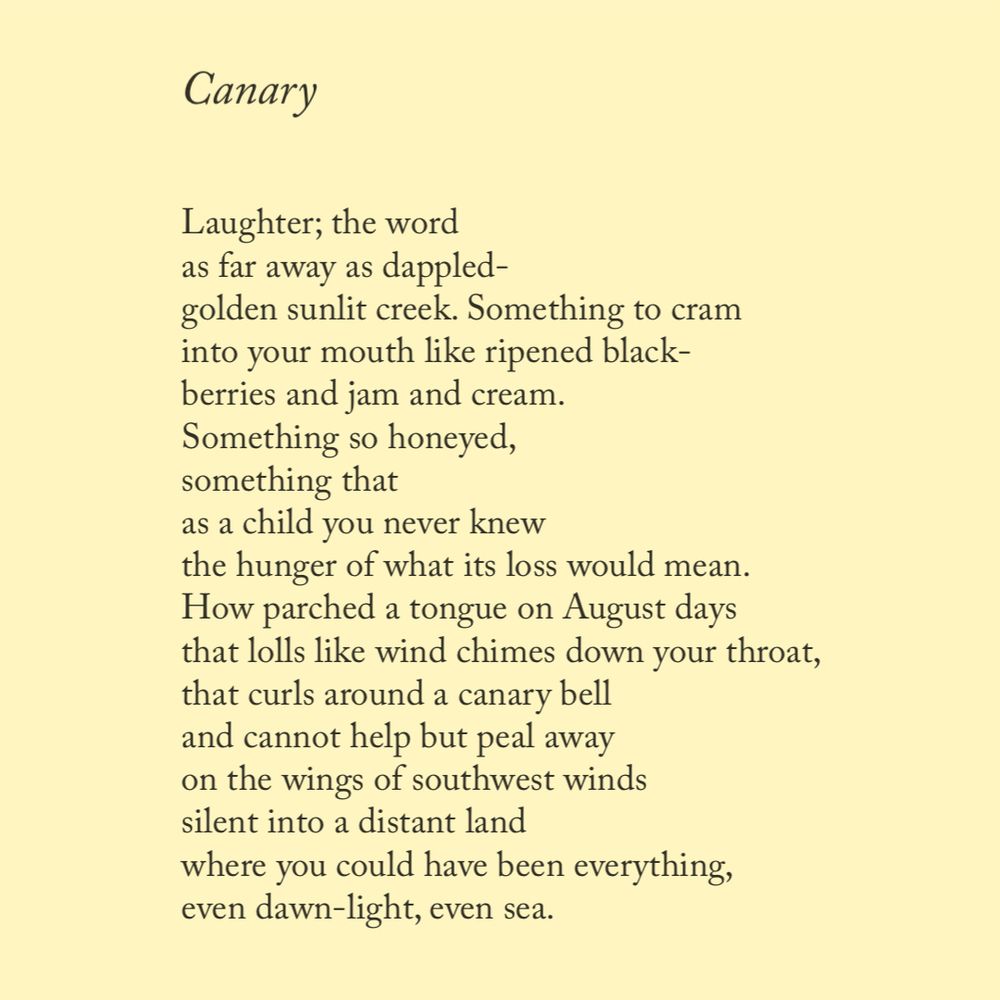 Canary

Laughter; the word
as far away as dappled-
golden sunlit creek. Something to cram
into your mouth like ripened black-
berries and jam and cream. Something so honeyed, 
something that
as a child you never knew 
the hunger of what its loss would mean.
How parched a tongue on August days 
that lolls like wind chimes down your throat,
that curls around a canary bell
and cannot help but peal away
on the wings of southwest winds
silent into a distant land
where you could have been everything,
even dawn-light, even sea. 