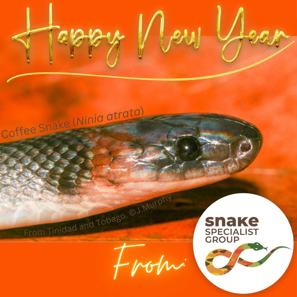 profile image of a snake with a red band around the neck. Words on the top of the image are Happy New Year. At the bottom, it says 'From' and then the logo 'Snake Specialist Group'