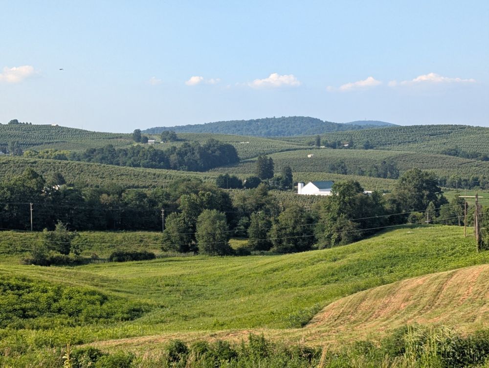 Farm land vista