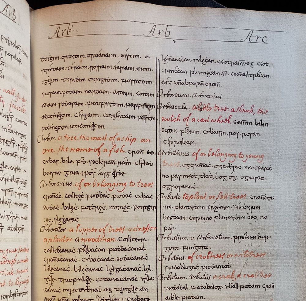 Detail from Latin-English-Gaelic dictionary, compiled c.1712-1730