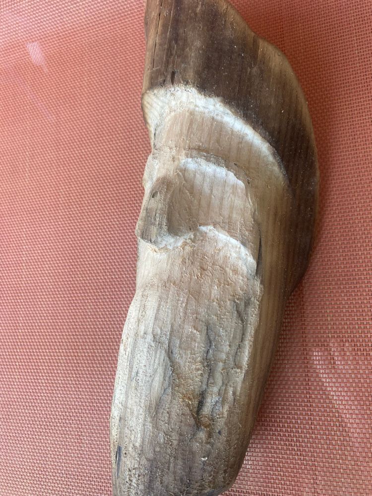 The start of a wood carving of a face 