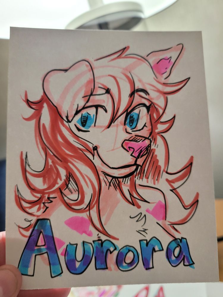 Doodle of a dog furry with long hair
Text at the bottom reads "Aurora"