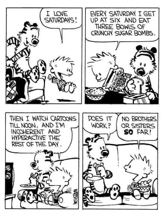 A Calvin & Hobbes comic strip from the 80s, where Calvin is jumping out of bed and talking to Hobbes, saying "I love Saturdays! Every Saturday, I get up at six and eat there bowls of crunchy sugar bombs. Then I watch cartoons till noon, and I'm incoherent and hyperactive the rest of the day." Hobbes asks him, "Does it work?" and Calvin replies, "No brothers or sisters SO far!"
