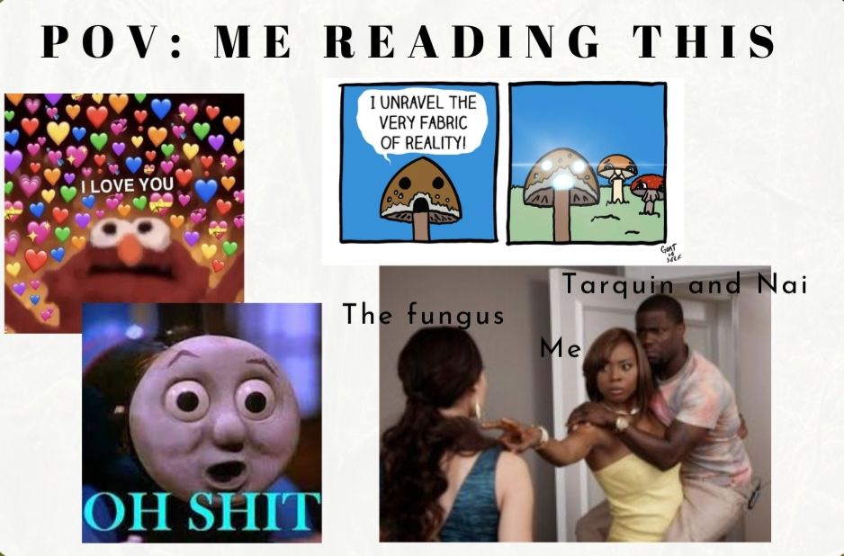 Text says: POV:me reading this. There are 4 memes. One is almost screaming I love you and surrounded by hearts. One is Thomas the Train with a caption that reads "OH SHIT". One is a woman holding a man and pointing with two fingers at another woman. The first woman is labeled Me, the man Tarquin and Naira, and the other woman is The Fungus. Lastly is a mushroom with a bubble that says "I unravel the very fabric of reality"