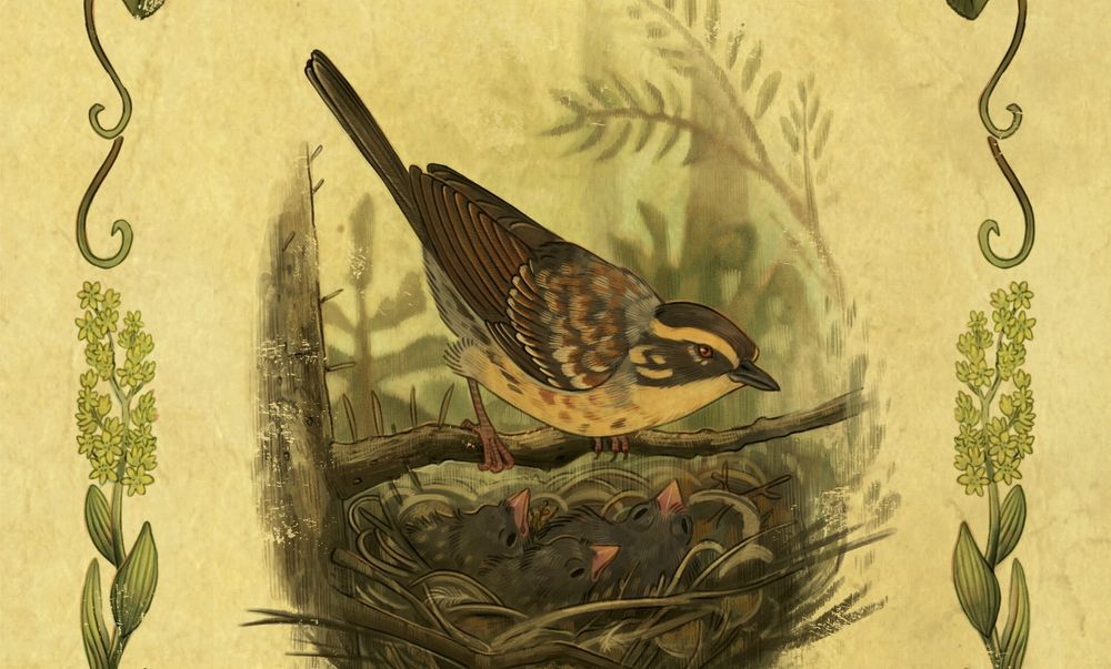 Bird near her nest with chicks