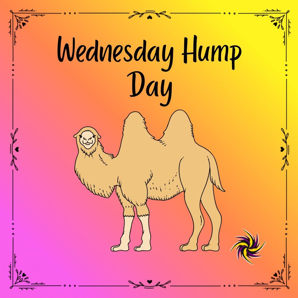 Wednesday Hump Day 
Picture of a two humped camel giving his best judging look.
