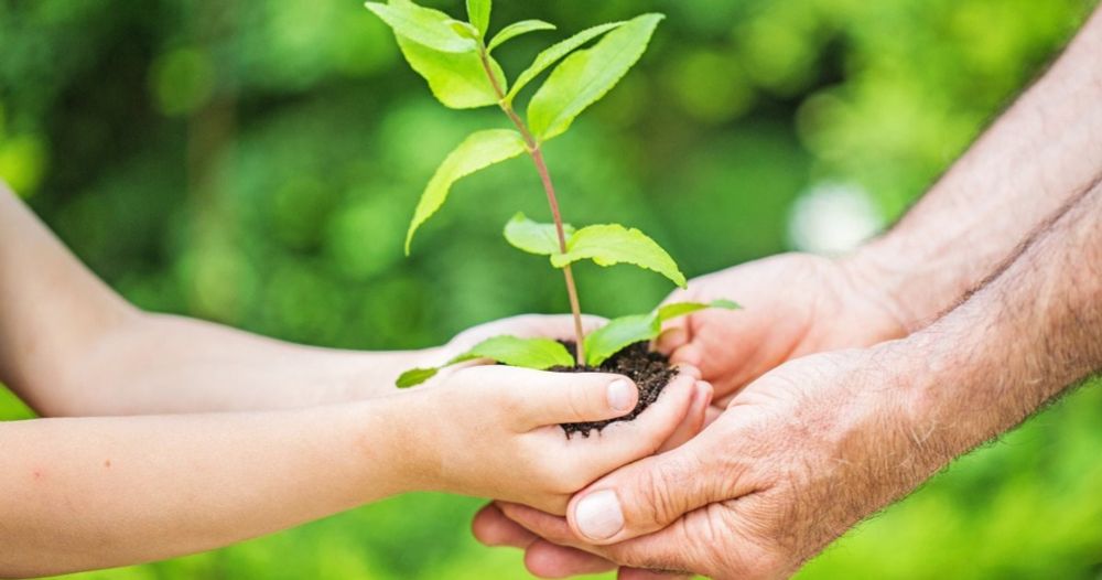 Lokaler Klimaschutz: Fünf erfolgreiche Beispiele