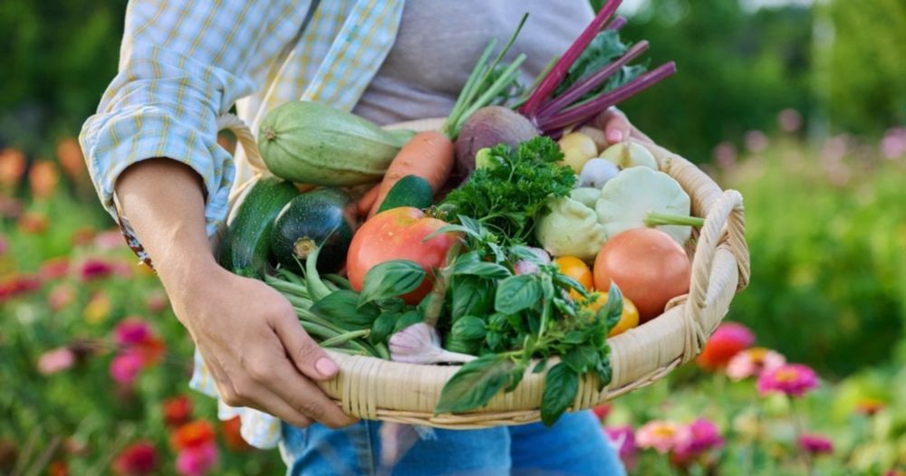 Erntedank: So machen wir unsere Ernährung zukunftssicher