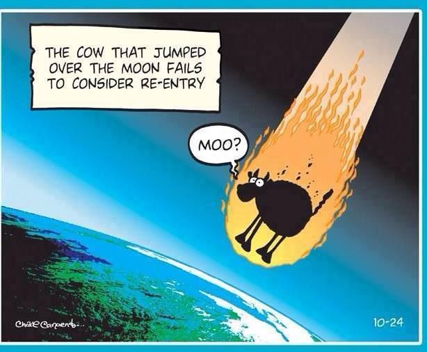 Cartoon of cow re-entering Earth's atmosphere with the caption "The cow  that jumped over the moon fails to consider re-entry"