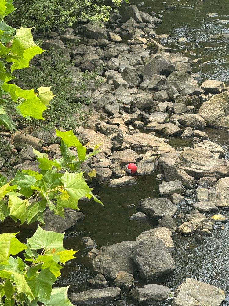 Rocky shoreline with a red object 
