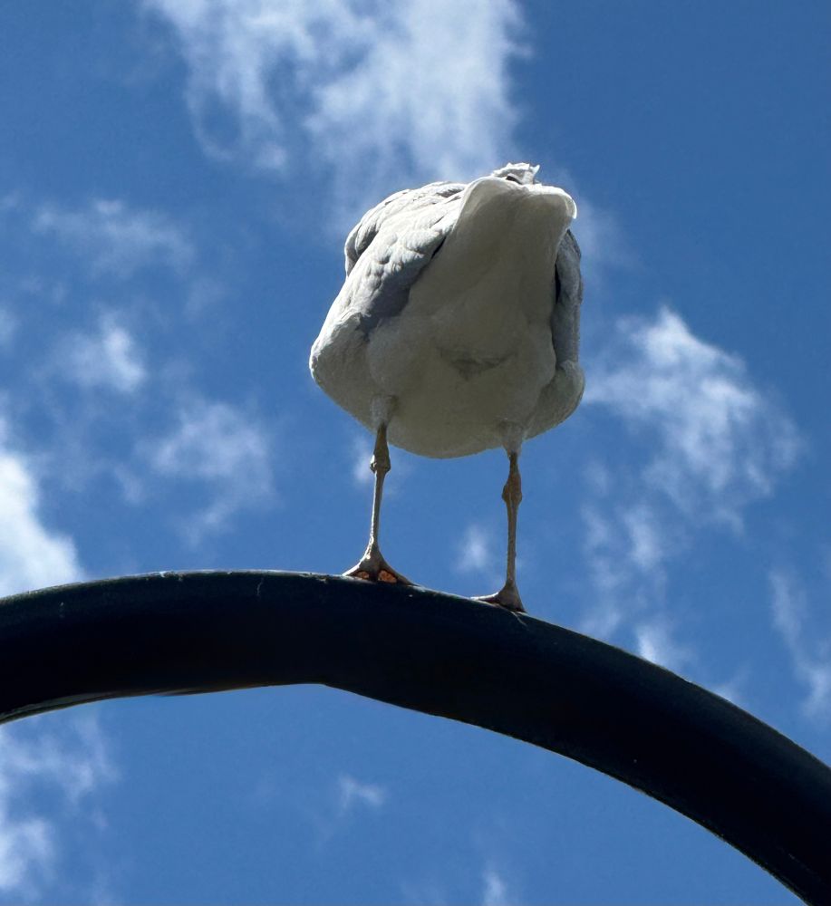 Preparing for “Bird Butt” photo day 