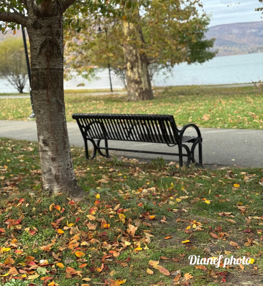 Nice spot for someone to relax and view the River 