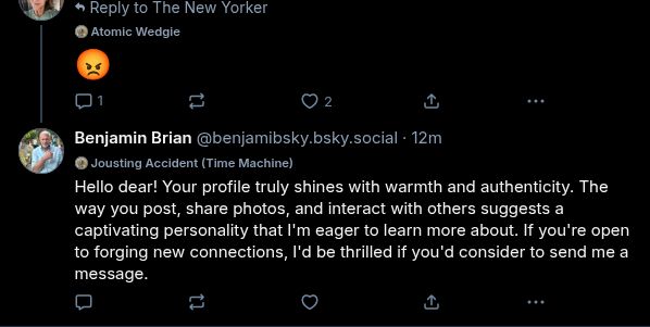 screencap of a skeet with the poster's name cropped out. They replied a single furious emoji to the New Yorker. In reply to that (because OP appears to possibly be a woman) a bot called @benjamibsky.social has replied 'Hello dear! Your profile truly shines with warmth and authenticity. The way you post, share photos, and interact with others suggests a captivating personality that I'm eager to learn more about. If you're open to forging new connections, I'd be thrilled if you'd consider to send me a message.'
