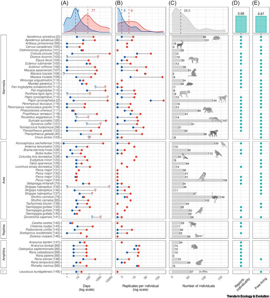 Figure from linked paper. “Figure 1. Longitudinal host microbiome studies in vertebrate species organized by taxonomic class.
The class marked by an asterisk (*) is the Actinopterygii (ray-finned fish). We excluded studies on humans, livestock species, and laboratory model organisms, as well as those for which metadata, sample size, and/or sampling details were missing. If multiple studies used the same dataset we used either the reference that reports within-individual variation or the one with the largest sample size. Data sources are cited next to the scientific name of each species. The literature search was completed on 31 August 2024. (A) The minimum (blue) and maximum (red) time intervals (number of days, log scale) between sampling events within individuals. To include as many studies as possible, we estimated some values based on the available information (indicated with question marks). (B) The minimum (blue) and maximum (red) numbers of repeated samples per individual. (C) The total number of individuals with repeated sampling (≥2 samples). (D) Dot plot indicating whether information about within-individual variation in the host microbiome was reported ('individuality', yes/no). We considered a broad range of methodologies to evaluate individuality, including repeatability analysis and other variance partitioning methods such as testing for the fixed effect of individual IDs in beta diversity analyses. Some studies mention analyses that control for repeated sampling but the results (e.g., variation explained by ID) are not reported in the main text. Such studies are indicated as not reporting individuality. (E) Dot plot indicating whether a study was conducted in the field ('free-living', yes/no). In (A–C), a density plot is shown at the top and indicates the median (dashed line and number). In (D) and (E) bar plots at the top show the proportion of studies with 'yes'.”
