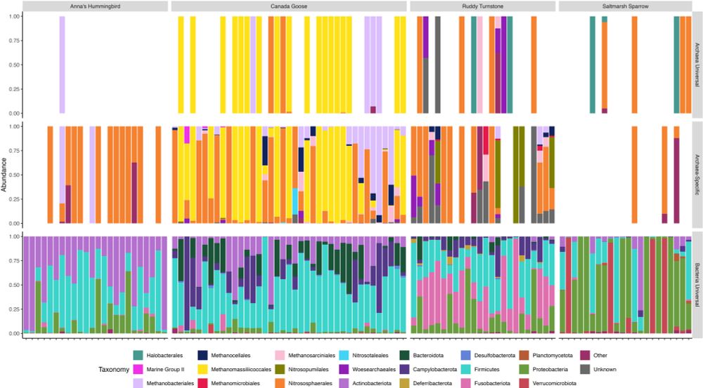 Figure 2 from linked paper. Relative abundance of archaeal orders and bacterial phyla found using Archaea-Specific and Universal PCR primers. Relative abundance of archaeal orders and bacterial phyla from Anna’s Hummingbird, Canada Goose, Ruddy Turnstone, and Saltmarsh Sparrow was found using Archaea-Specific (top) or Universal (middle and bottom) PCR primers. 