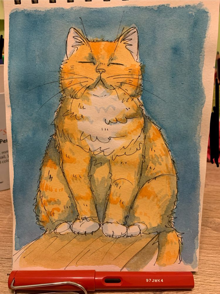 watercolor painting of a cat
