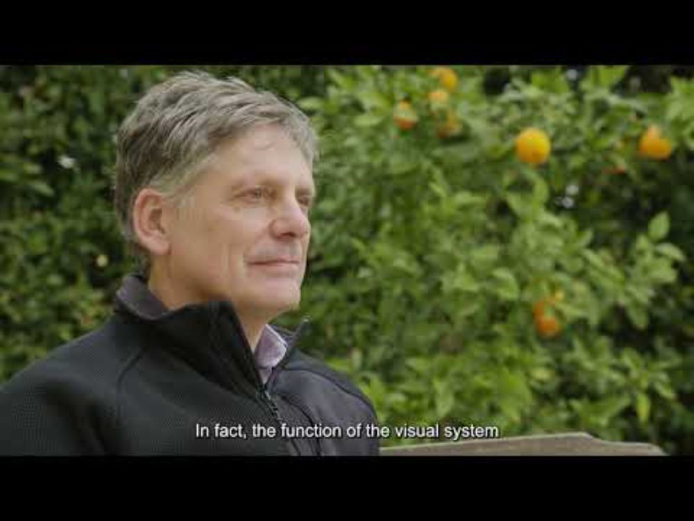 Why We Blink—and How It Enhances Visual Perception | Cozzarelli Prize-Winning Research
