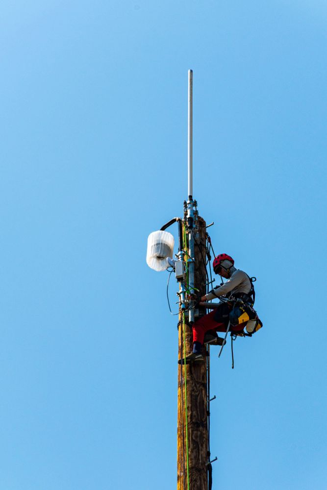 A young man climbs a telephone pole and installs a wildfire detection camera at the top.