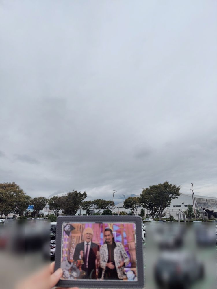 曇り空の下でブロマイドを掲げた写真