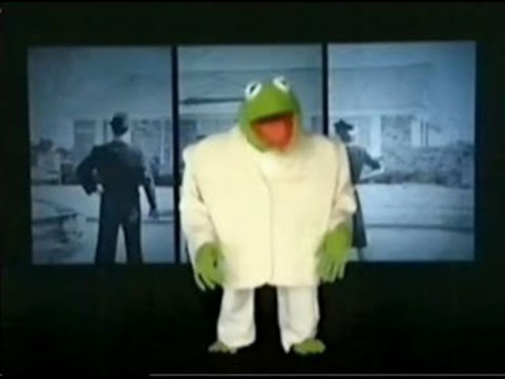 Kermit the Frog - Talking Heads "Once in a Lifetime"