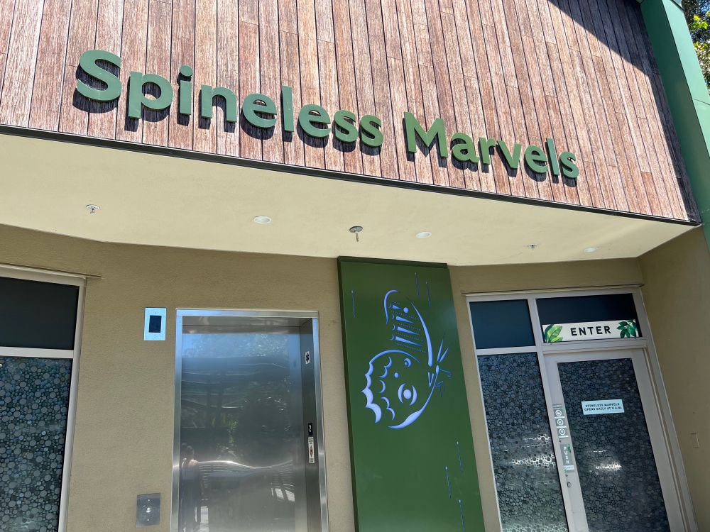 entrance to a zoo exhibit called spineless marvels 
