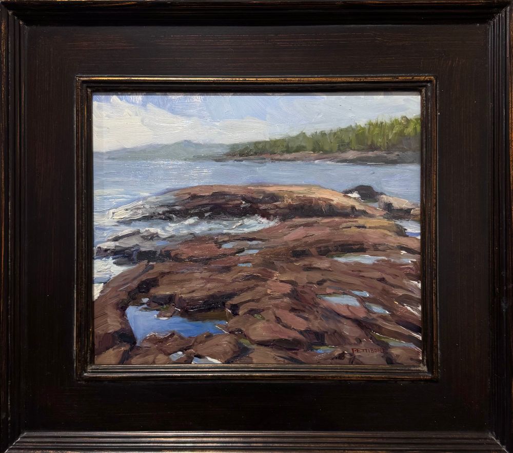 View of rocky shore with waves splashing and treelined shore in the background.
