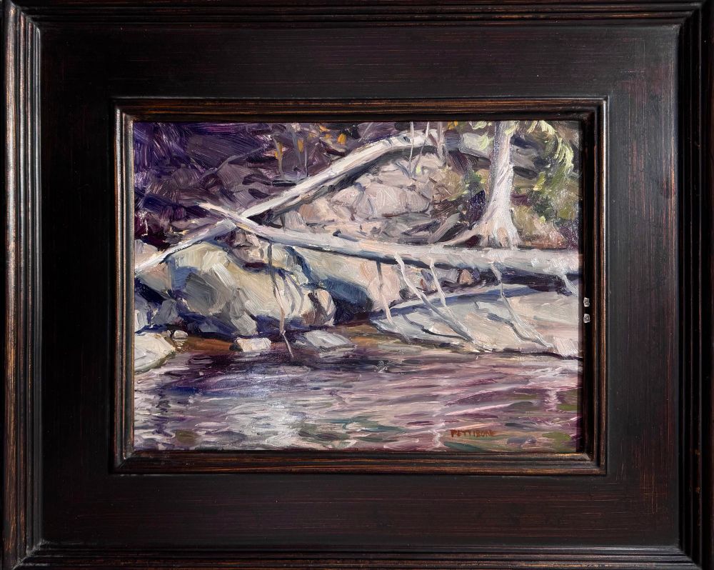 Looking across the water at the rocky shoreline of a creek. Fallen trees cross the composition. Purples, oranges and greens are the dominant color scheme. 
