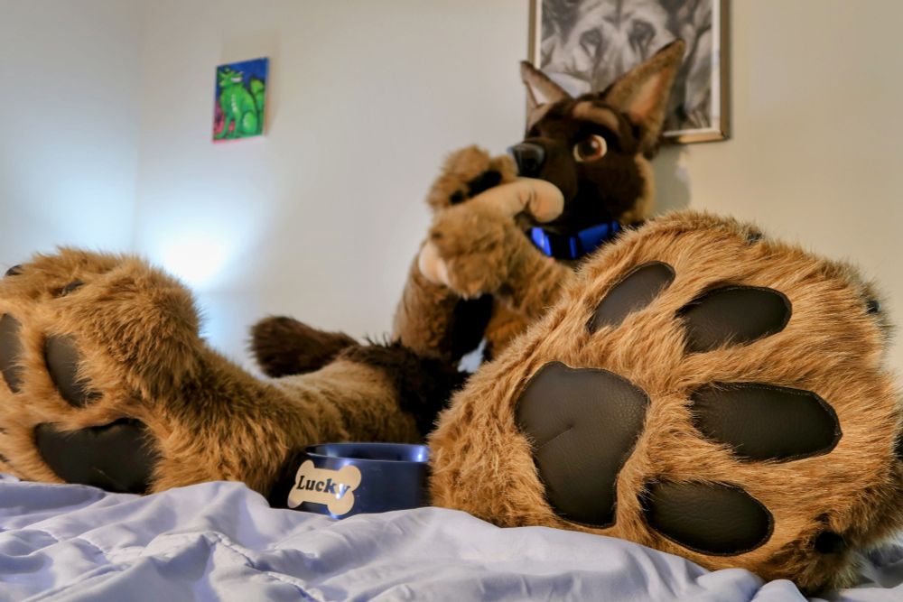 bramble german shepherd fursuit with indoor paws close up 