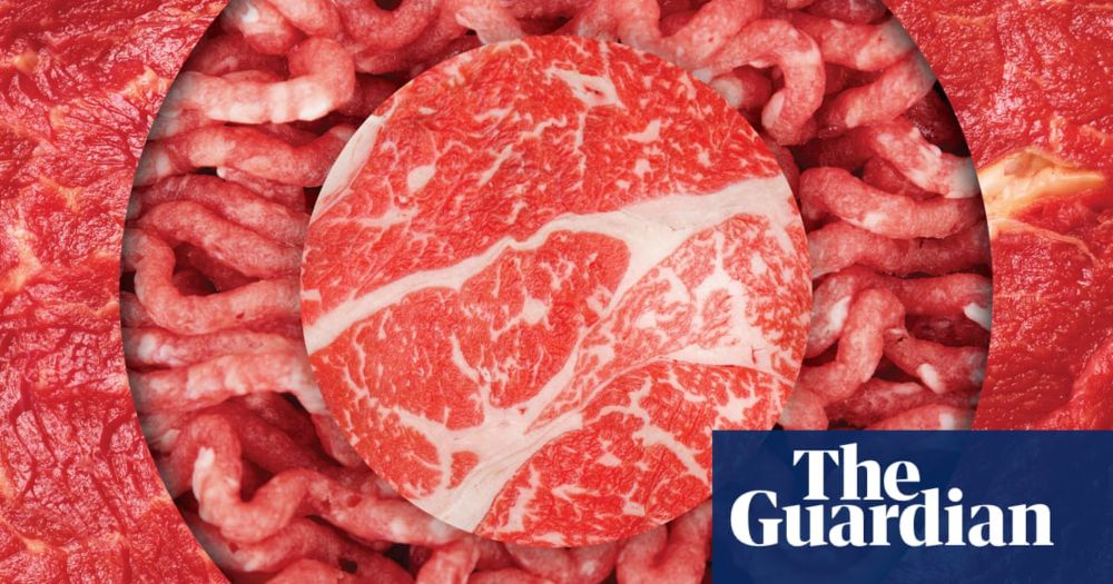 ‘Plants are trying to kill you’: why carnivore influencers claim we should eat only meat