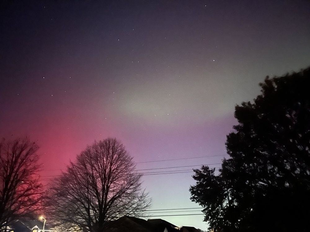 Reds and greens of aurora borealis color the night sky, with silhouettes of trees and rooftops in the foreground. A few dozen stars are visible.