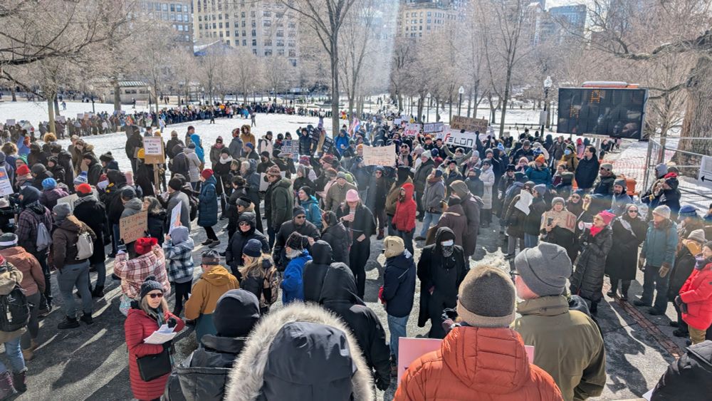 Over a thousand people on Boston Common, carrying signs protesting the actions of President Trump and Elon Musk.