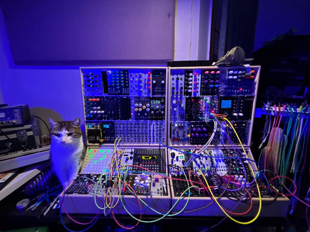 Eurorack modular synth in purple colored lighting with a cat standing next to it