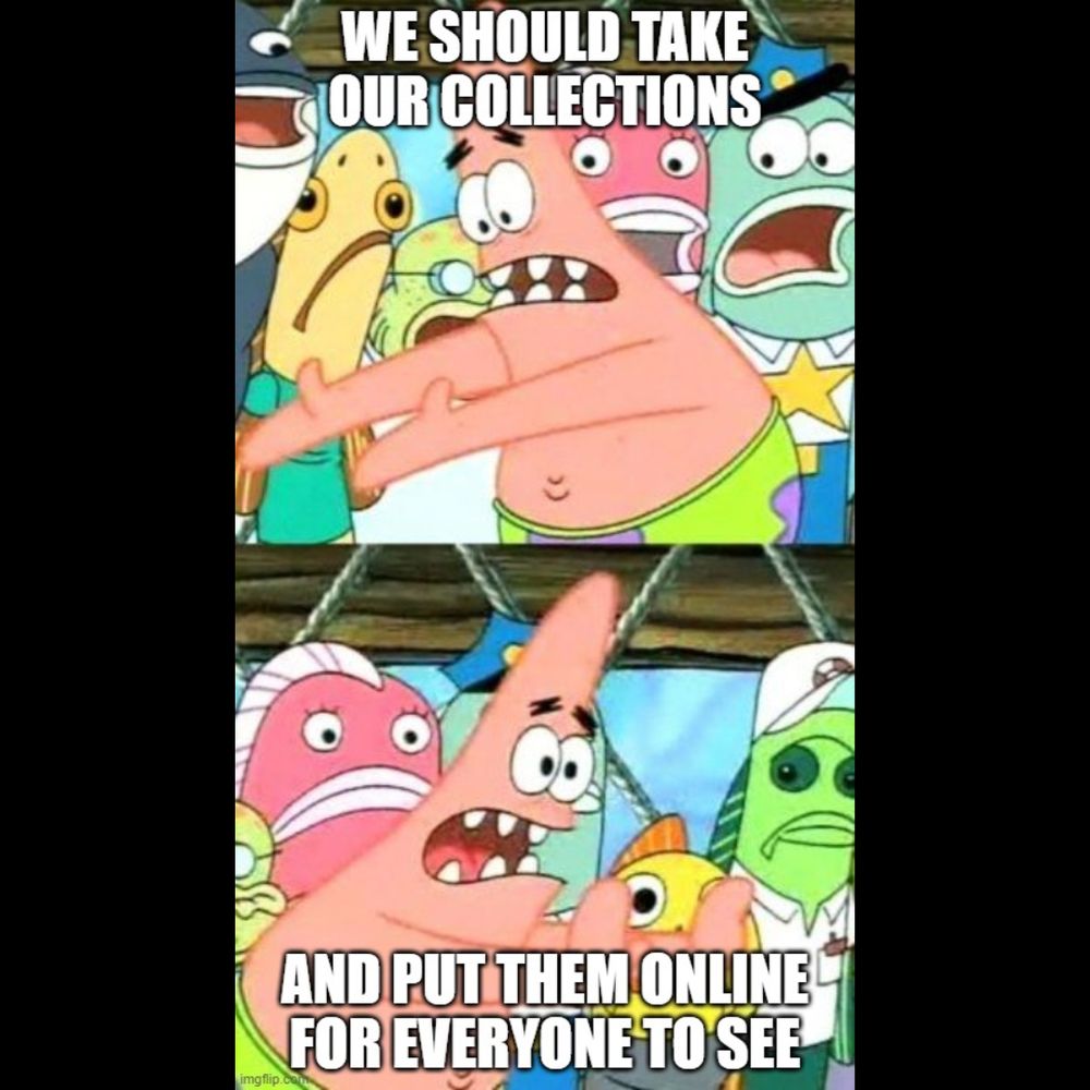 Patrick from Spongebob pointing to the left with text "We should take our Collections" and then point to the right with text "And put them online for everyone to see!"