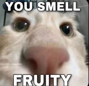 Comment image