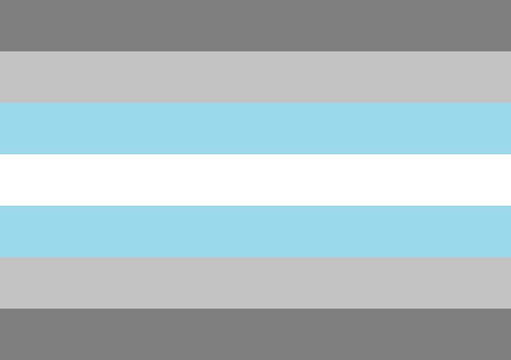 A Demi-Boy flag. A nonbinary identity that aligns with masculinity partly.  