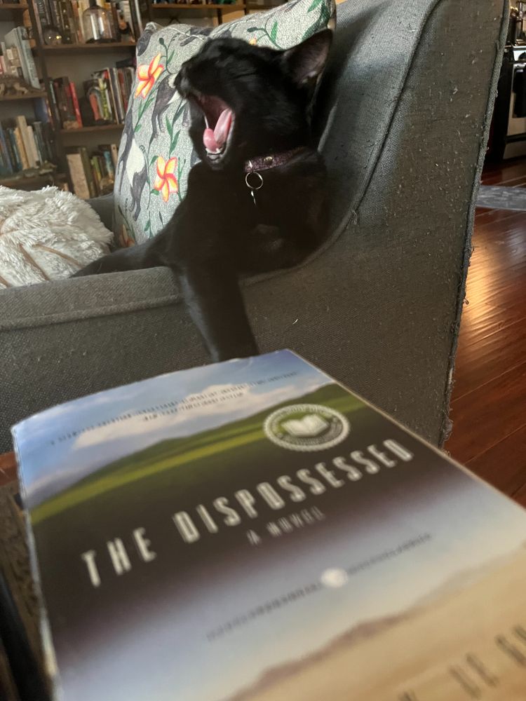 a black cat yawns behind a copy of The Dispossessed