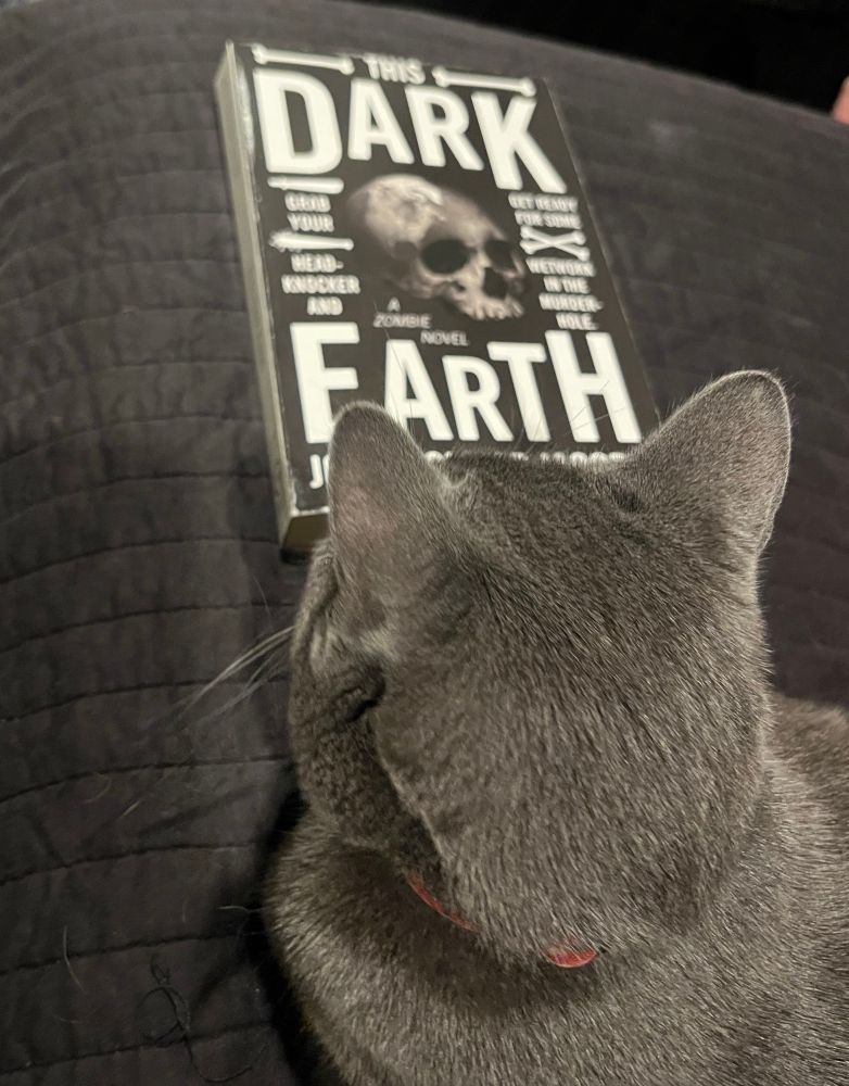 A grey cat sits looking at a copy of This Dark Earth on a black bedspread 
