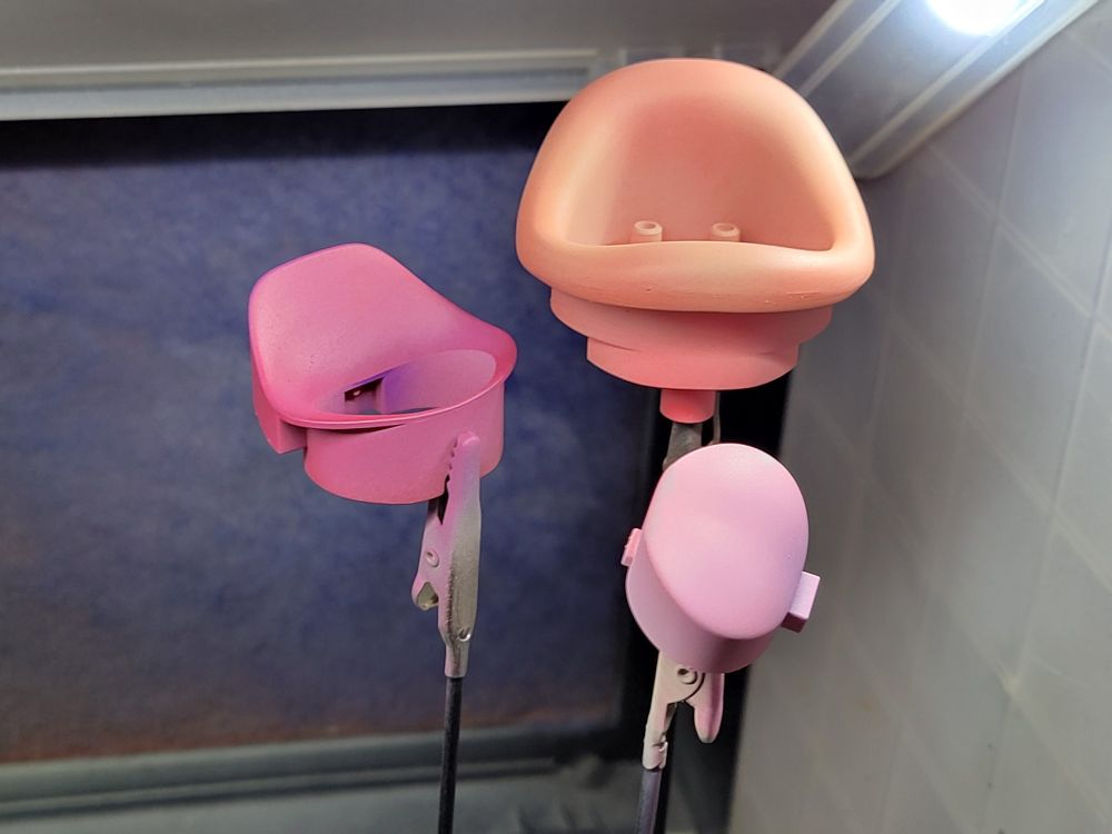 The lips, throat and tongue of the magikarp model in various pinks and flesh tones. The shading from the previous step is very subtle after the top layer. 