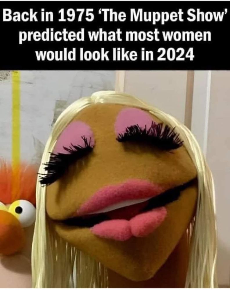 Comment image