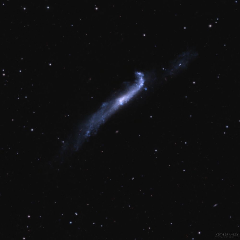 NGC 4656/57 is a highly warped edge-on barred spiral galaxy located in the local universe 30 million light years away from Earth in the constellation Canes Venatici. This galaxy is sometimes called the Hockey Stick Galaxy or the Crowbar Galaxy. Its unusual shape is thought to be due to an interaction between NGC 4656, NGC 4631, and NGC 4627