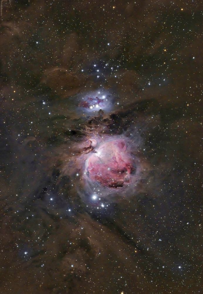 A colourful bright nebula, the main nebula has a distinct purple and pink hue and bright core. The upper nebula has a darker purple appearance. The upper nebula is called the Running Man as the darker nebulosity resembles a running man. The background shows lots of faint dust embedded with many stars. 