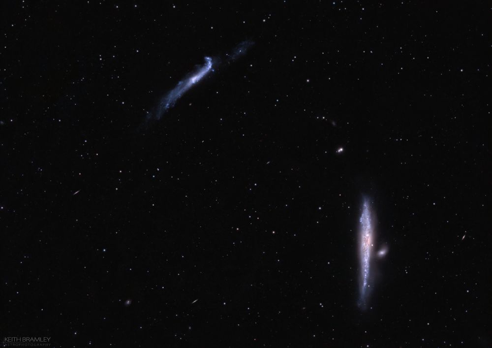 The NGC 4631 Group is a poorly defined group of galaxies, about 25 million light-years from Earth in the Coma Berenices and Canes Venatici constellations.

The NGC 4631 Group is one of many that lie within the Virgo Supercluster