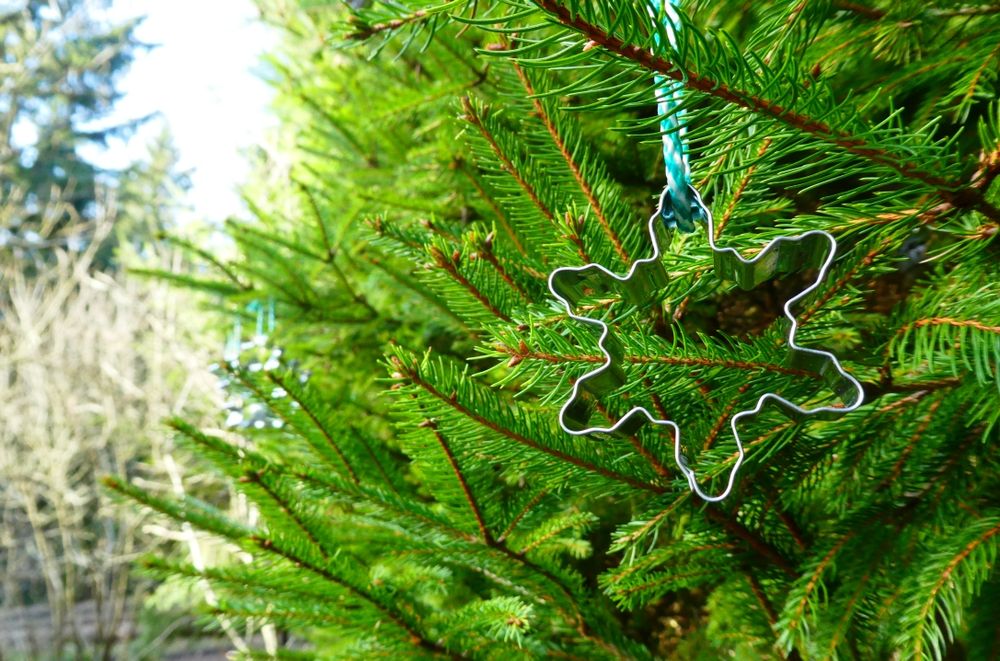 Ein Nadelbaum, geschmückt mit einem Plätzenausstecher in Schneeflockenform