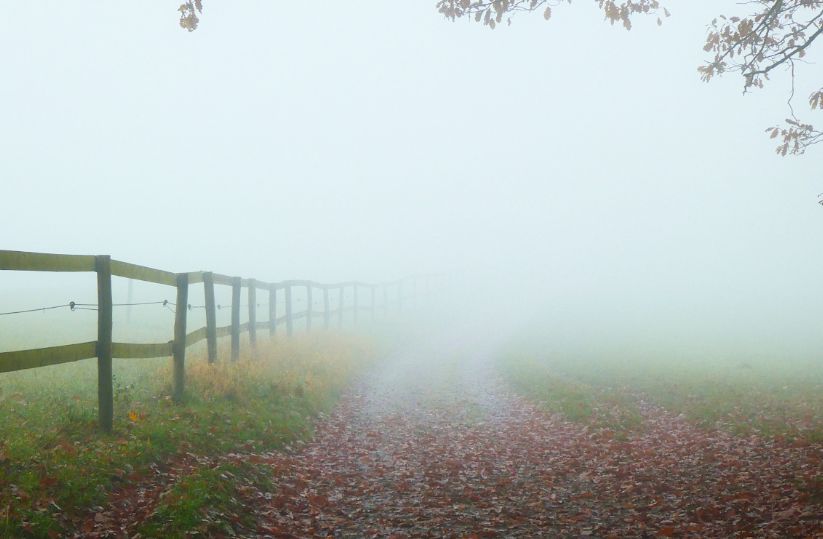 Ein Feldweg zwischen Wiesen, der im Nebel verschwindet, links ein Holzzaun.