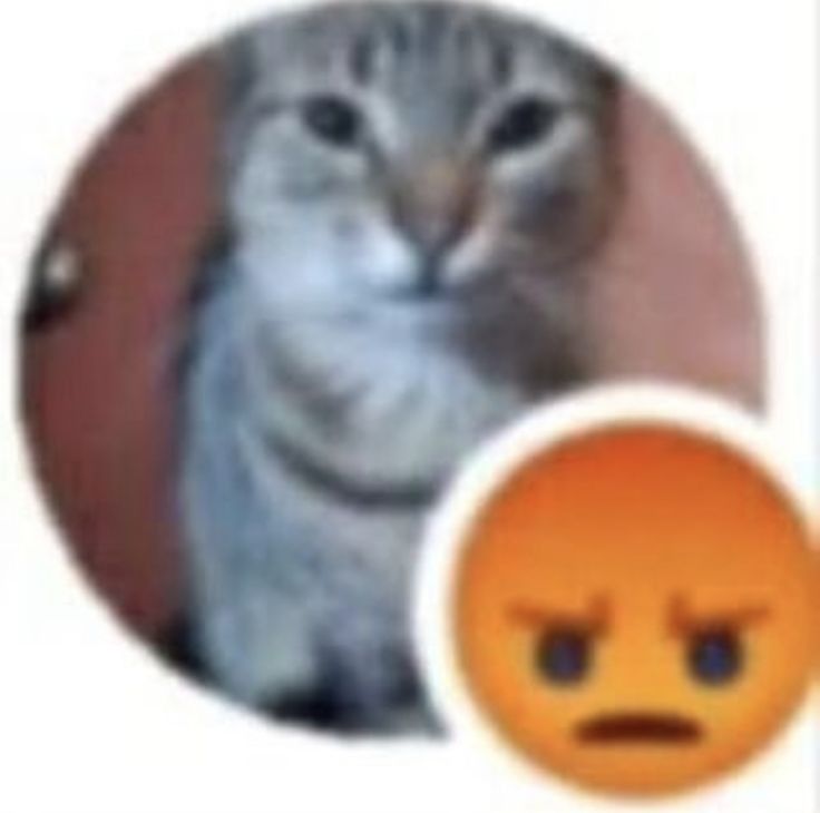 Comment image