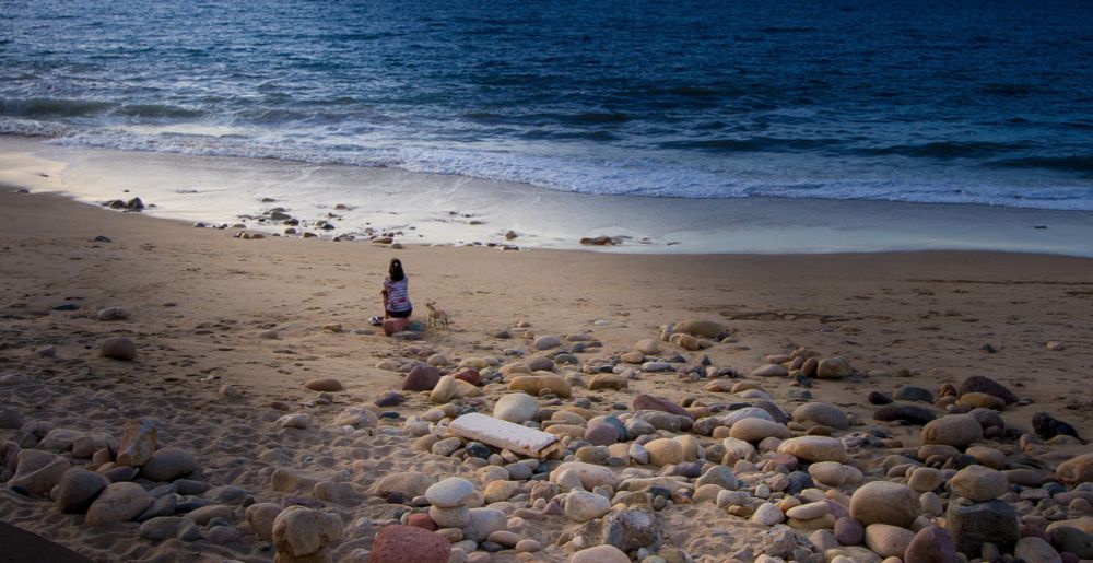 A woman and her dog sitting on a rocky beach looking at the ocean.