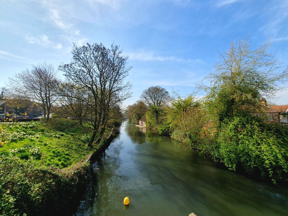 View from bridge if River Wensum; blue sky reflected in water.  Right bank with woody vegetation; left bank with grass and trees.  