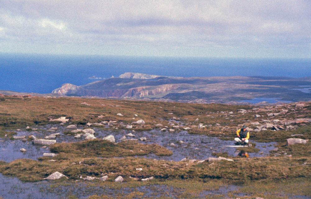 Shallow freshwater lochan on north side of Ronas Hill (Shetland) with dramatic background of additional lochs; coastal cliffs and sea; ecologist wearing yellow jumper collecting plankton sample
