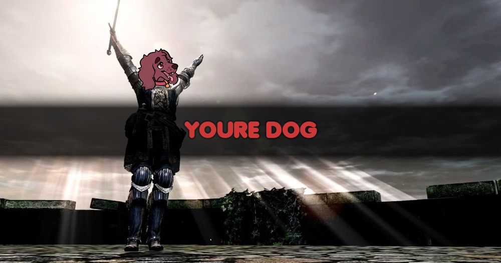 you're dog